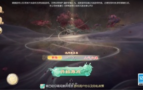 大话回合手游【缥缈西游之武曜台孩子升级版】Linux手工服务端+管理后台+CDK授权后台2.0+安卓苹果双端+视频架设教程